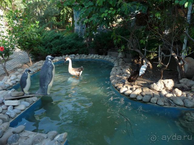 фото Best San Diego