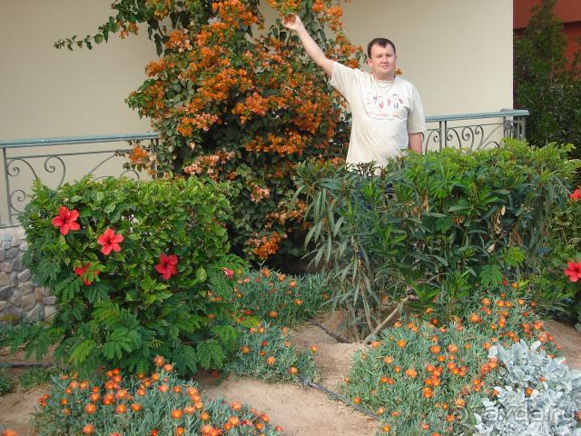 фото Panorama Bungalow Resort Hurgada