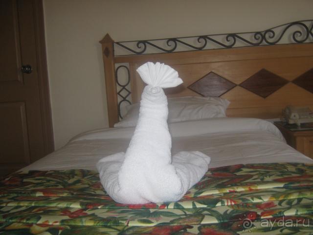 фото Savoia And Jolanda