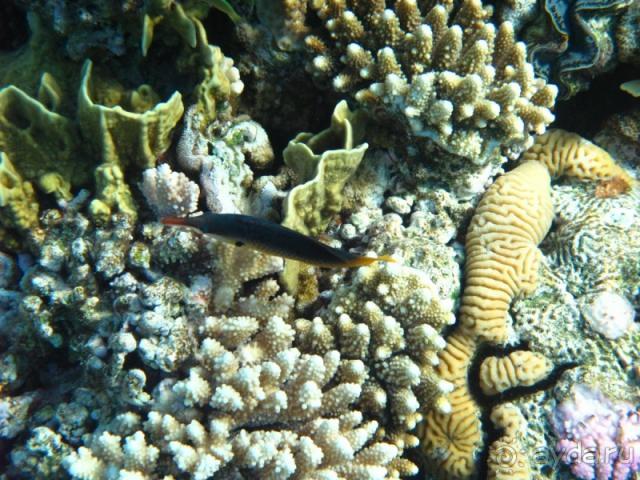 фото Melton Tiran Resort 