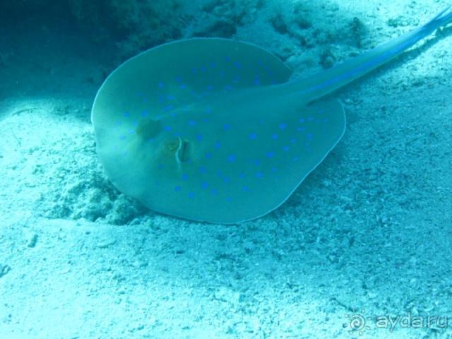 фото Melton Tiran Resort 