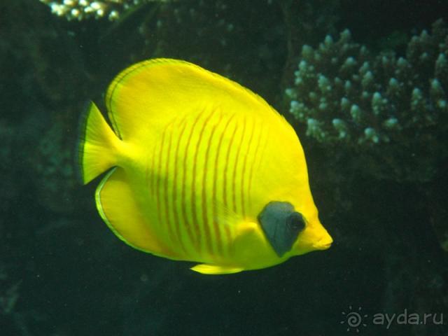 фото Melton Tiran Resort 