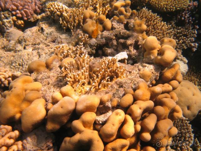 фото Melton Tiran Resort 