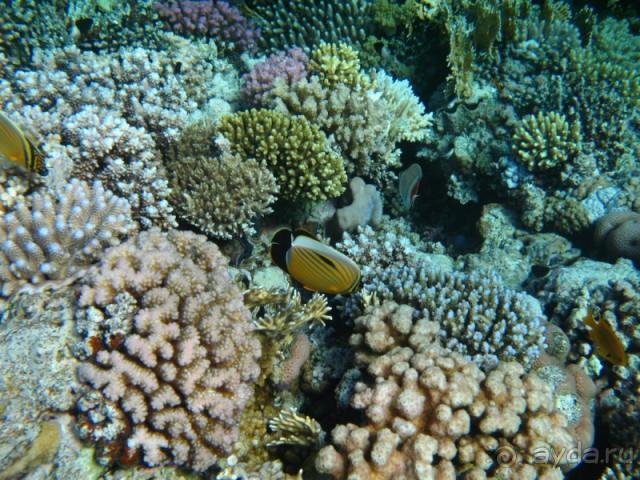 фото Melton Tiran Resort 