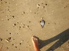 Отель с грязным океаном и жутким сервисом