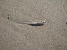 Отель с грязным океаном и жутким сервисом