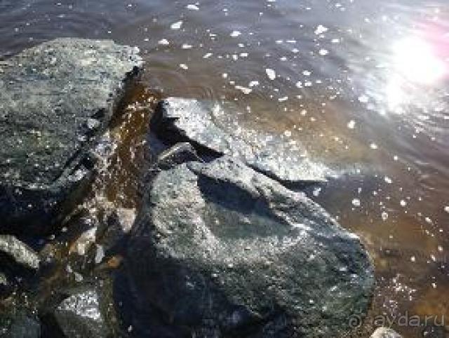 Отель с грязным океаном и жутким сервисом