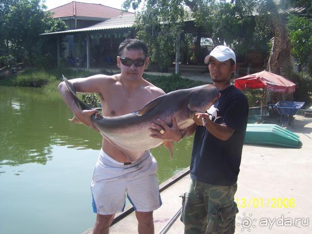 Нормальный  отель  для  одинокого  мужчины.