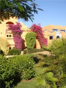 Дениска , гляди какие цветочки!