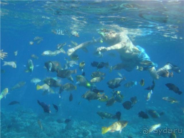 фото Bauer Il Palazzo (No Sea View)