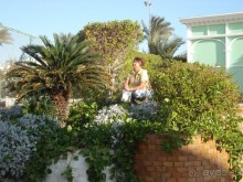 фото FUN&SUN SMART Seti Sharm 