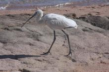 фото Coral Sea Water World