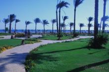 фото Coral Sea Water World