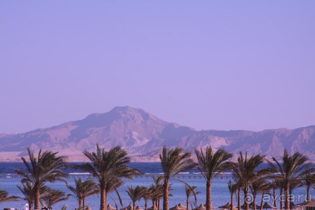 Уютный Coral для влюбленных семейных пар