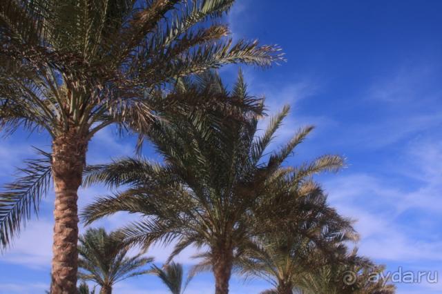 Уютный Coral для влюбленных семейных пар