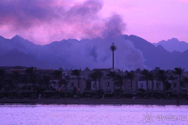 Уютный Coral для влюбленных семейных пар