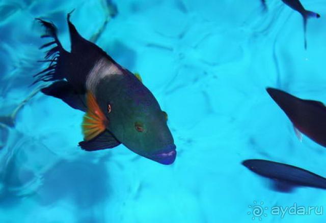 Отличное место для зимнего глотка лета!