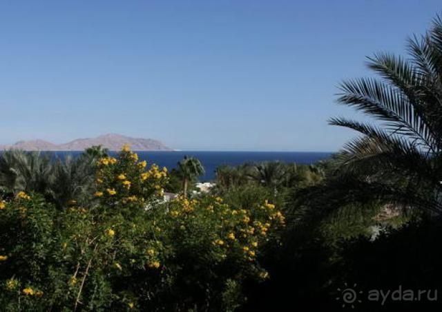 Отличное место для зимнего глотка лета!