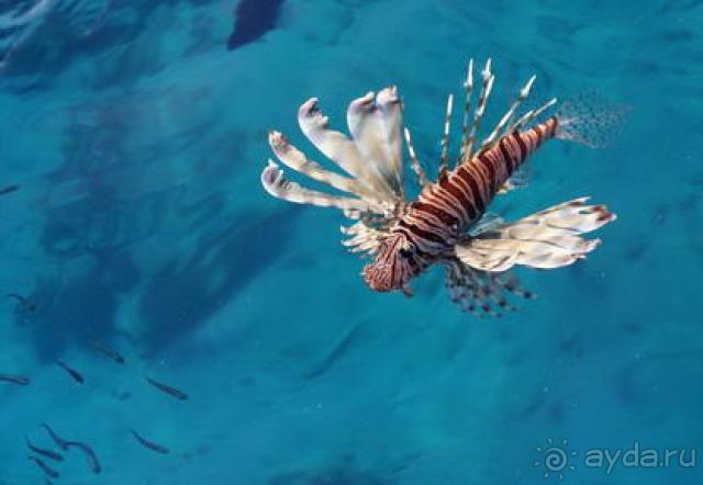 Отличное место для зимнего глотка лета!