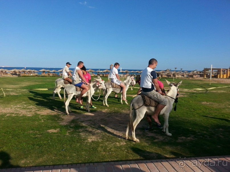 фото Mercure Hurghada