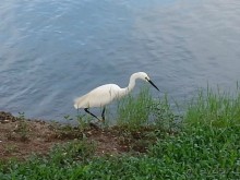 Бангкок, часть 3-я