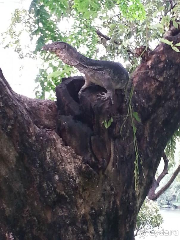 Бангкок, часть 3-я