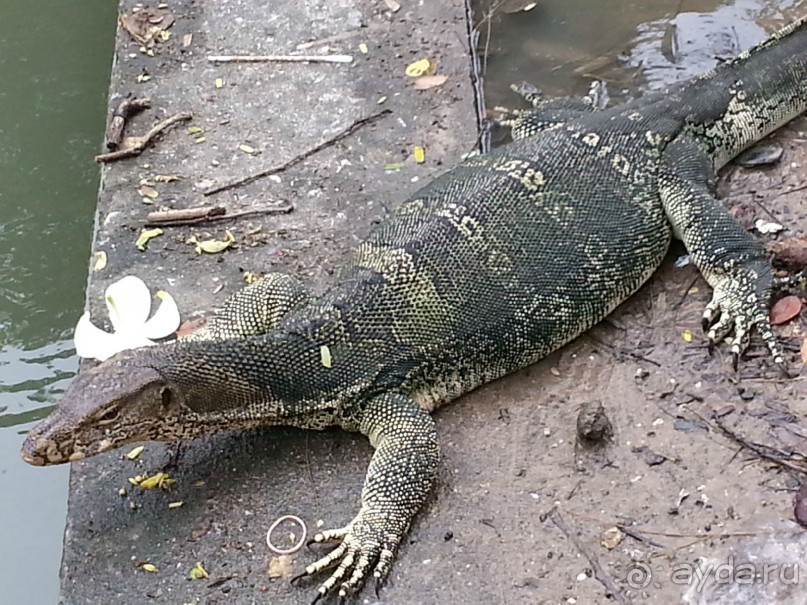 Бангкок, часть 3-я