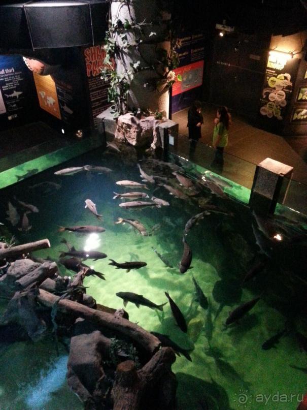 Куала Лумпур, часть 2-я