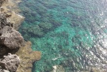 фото New Famagusta