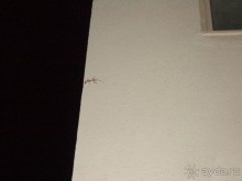 фото Phi Phi Princess Resort