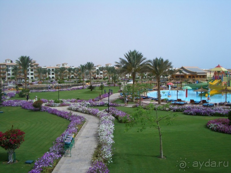 фото Pickalbatros Dana Beach Resort