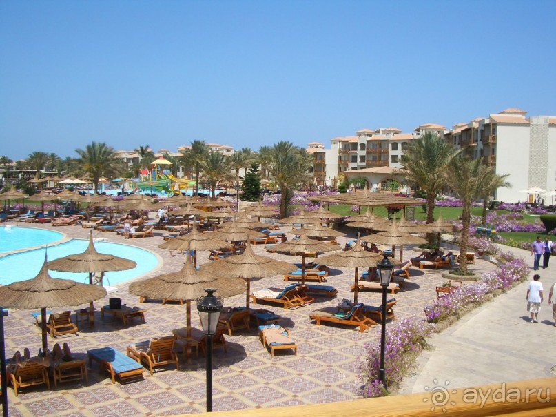 фото Pickalbatros Dana Beach Resort