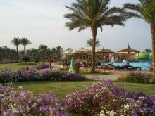 фото Pickalbatros Dana Beach Resort