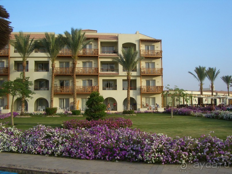 фото Pickalbatros Dana Beach Resort