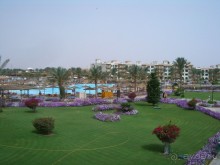 фото Pickalbatros Dana Beach Resort