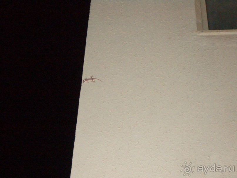 фото Phi Phi Princess Resort