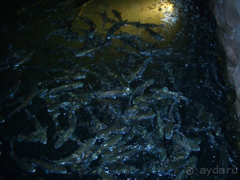 фото Phi Phi Princess Resort