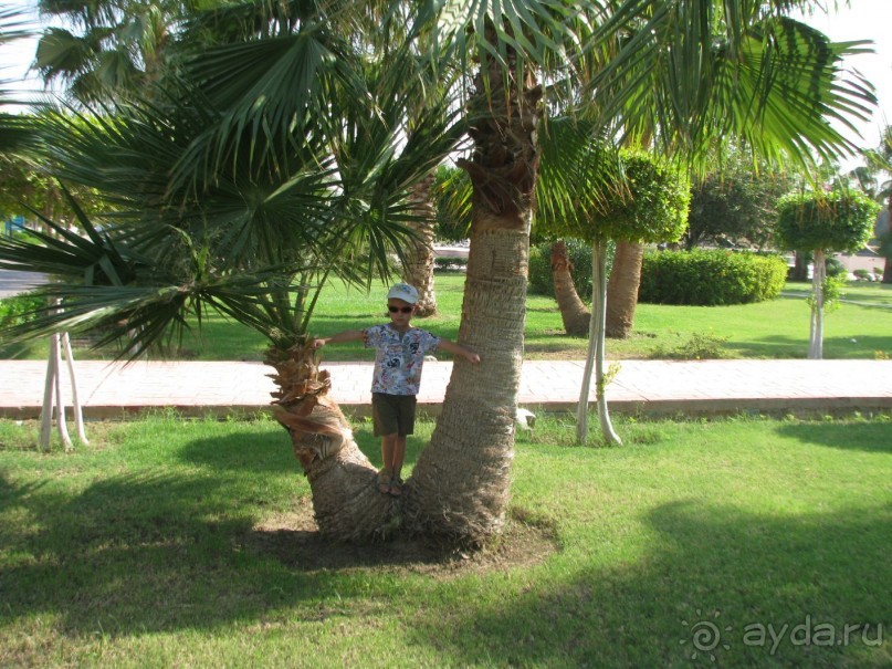 фото Beach Garden Cha-Am