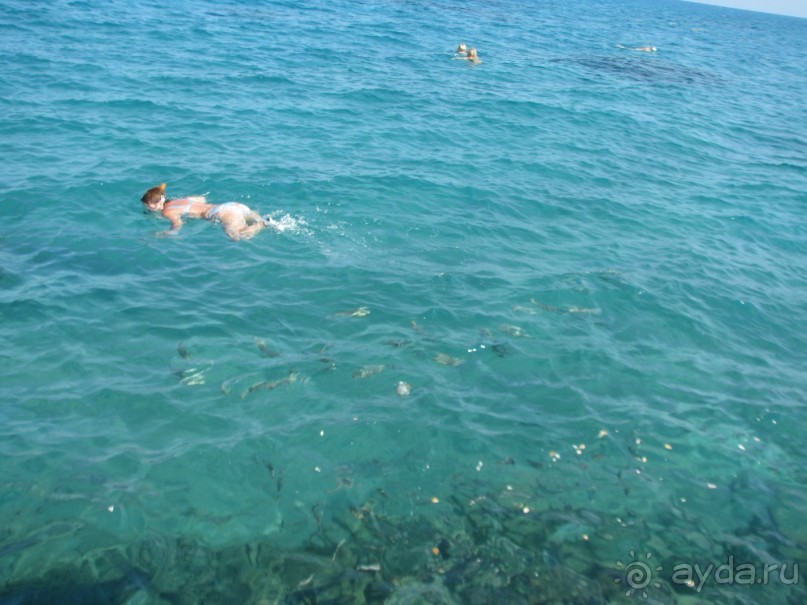 фото Beach Garden Cha-Am