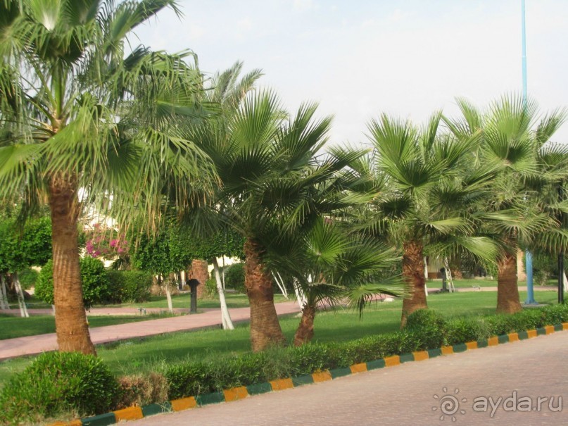 фото Beach Garden Cha-Am