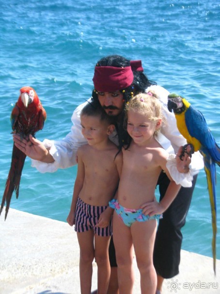 Обратите внимание и не пожалеете о своем выборе.