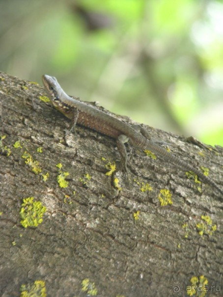 Обратите внимание и не пожалеете о своем выборе.