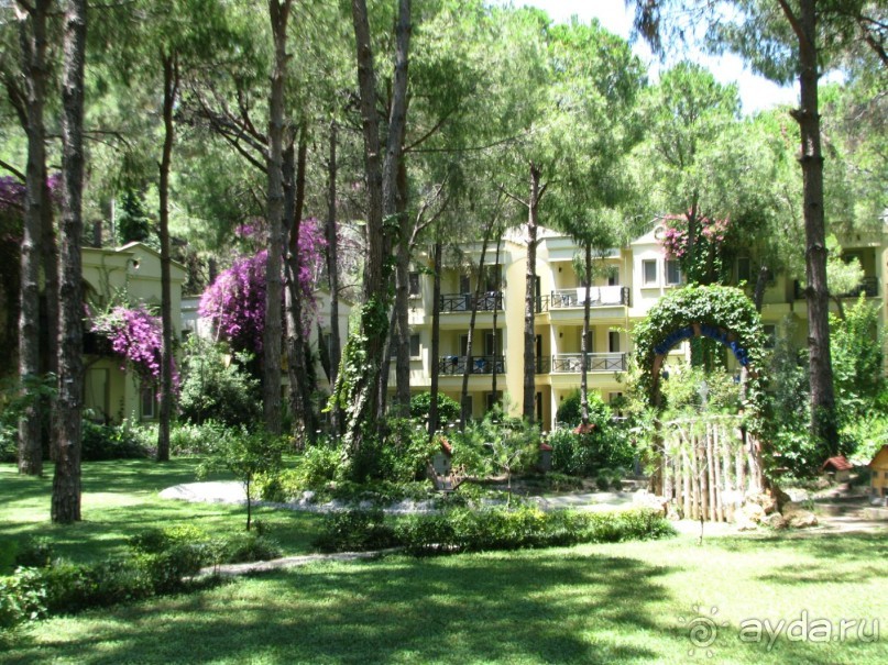 Обратите внимание и не пожалеете о своем выборе.