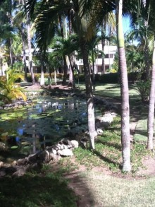 Оправданные ожидания