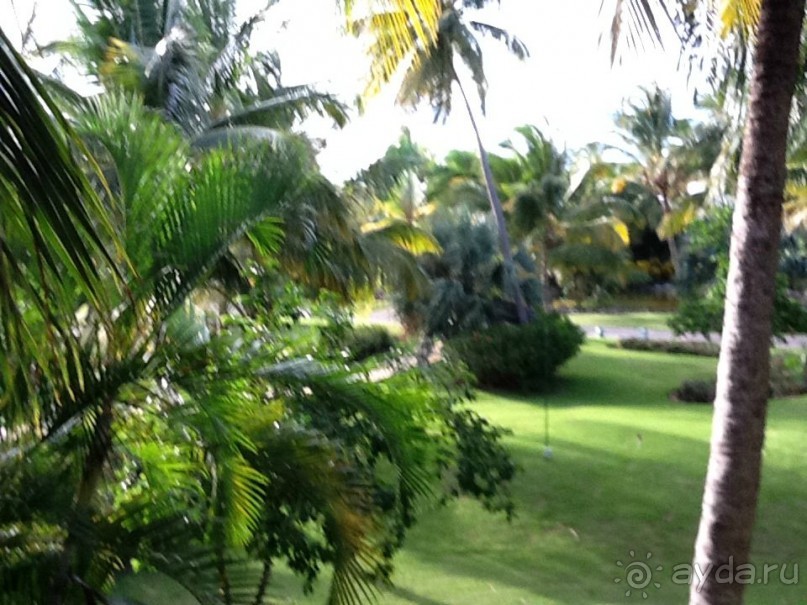 Оправданные ожидания