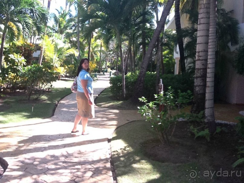 Оправданные ожидания