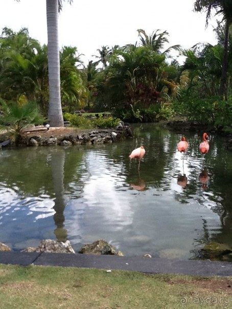 Оправданные ожидания