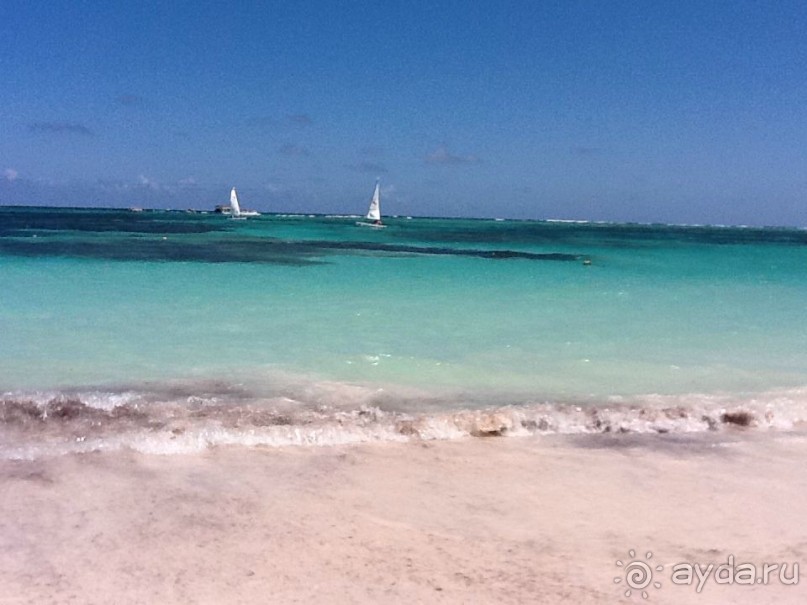 Оправданные ожидания