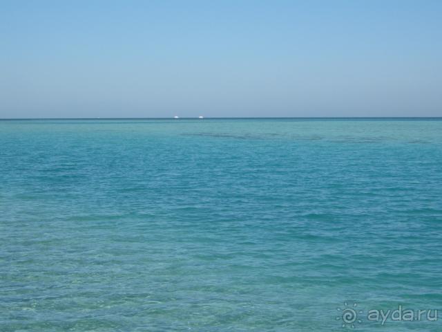 Море возле отеля