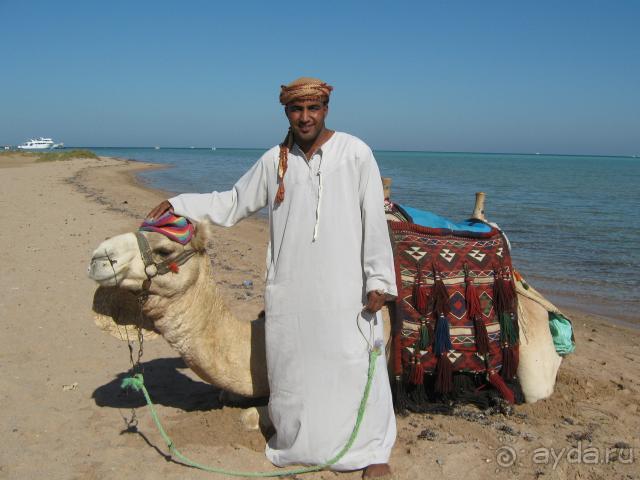 На пляже можно покататься )))))